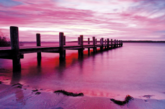 Фрески/Панно ORTOGRAF