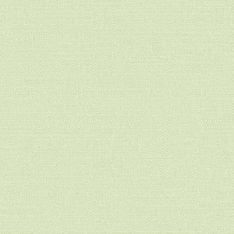 Обои Alessandro Allori Bruni