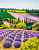 Обои Marburg Gloockler Pompoos Provence