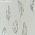 Обои Harlequin ANTHOZOA