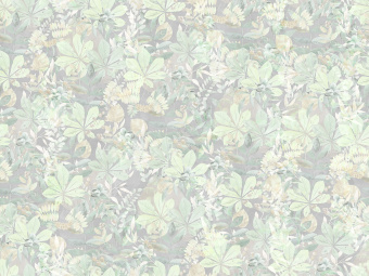 Фотообои Wall Street Fairy Foxes