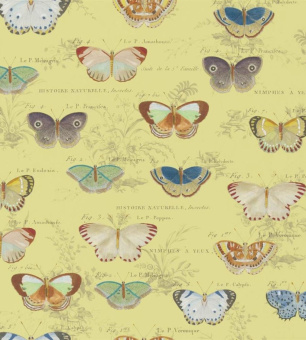 Обои John Derian Picture Book II