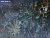 Фотообои Wall Street Aquarelle