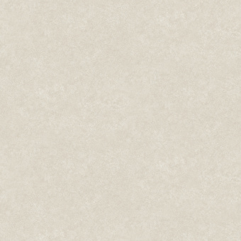 Обои Rasch Modern House