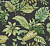 Обои Jaima Brown Woodlands Resource