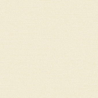 Обои Alessandro Allori Bruni