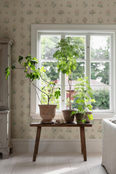 Обои Borastapeter Osterlen