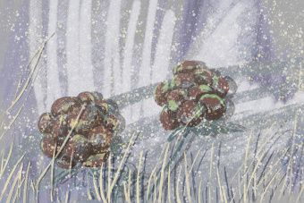 Фотообои Wall Street BRUSH