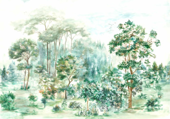 Обои Coordonne Random Chinoiseries II