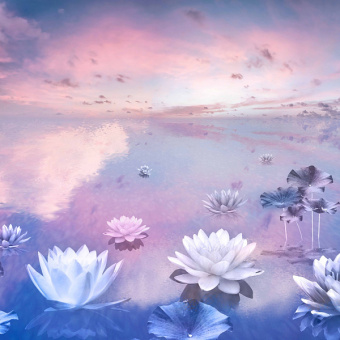 Фотообои Мне обои