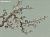 Обои Fromental Modern Chinois