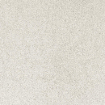 Обои Andrea Rossi Cavolli