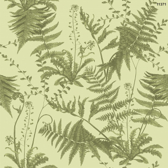 Фотообои Мне обои