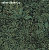 Обои Khroma Cabinet of curiosities