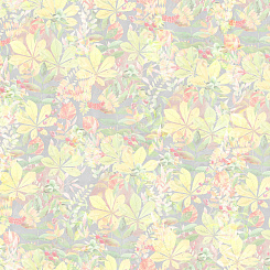 Фотообои Wall Street Fairy Foxes