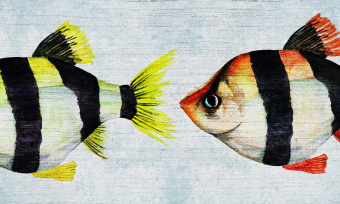  Обои Skinwall Contemporary Collection