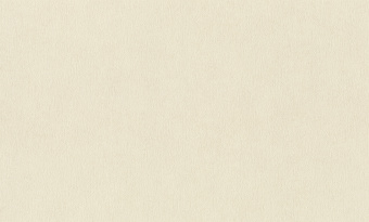 Обои Rasch Alghero