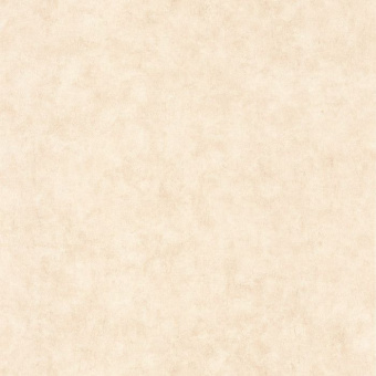 Обои Caselio Beton 2