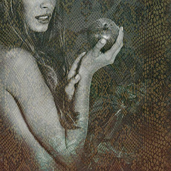  Обои Skinwall Contemporary Collection