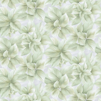 Обои Rasch Modern House