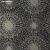 Обои ANTHOLOGY Anthology 01