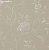 Обои Colefax and Fowler Casimir Wallpapers