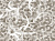 Фотообои Wall Street Calligraffiti