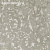 Обои Rasch Textil  Wall Sillk III