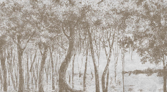 Фотообои Wall Street ESTAMPE