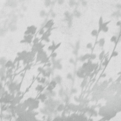 Фрески/Панно ORTOGRAF Vento