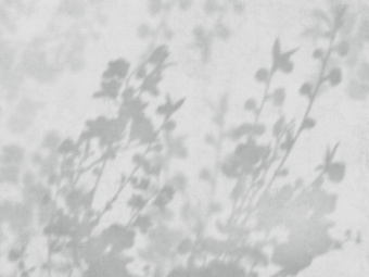 Фрески/Панно ORTOGRAF Vento