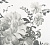Обои Designers Guild Amrapali