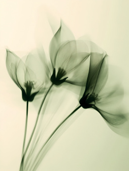 Фрески/Панно Rfresco AI