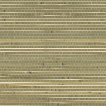 Обои Yate Into the Wild