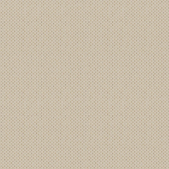 Обои Brewster Evolution 6