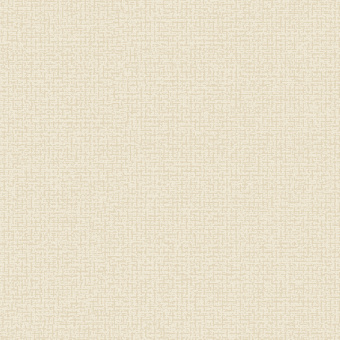 Обои Alessandro Allori Bruni