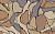 Фотообои My Fresco Creativille