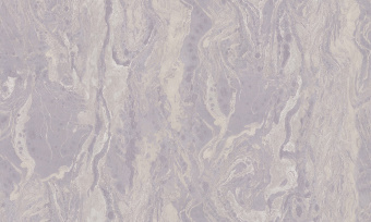 Обои Cassanie Xenia