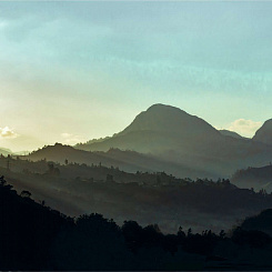 Фотообои Мне обои