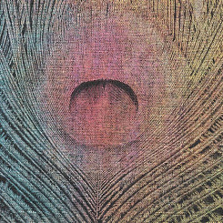  Обои Skinwall Contemporary Collection