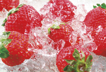 Фрески/Панно ORTOGRAF Кухня