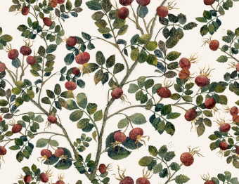 Фотообои Onprint СИНГИ