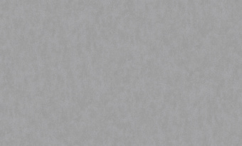 Обои Rasch Bright Whisper