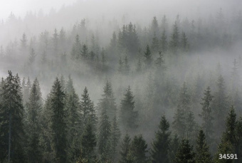 Фрески/Панно ORTOGRAF