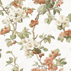 Обои Alessandro Allori Giorgio