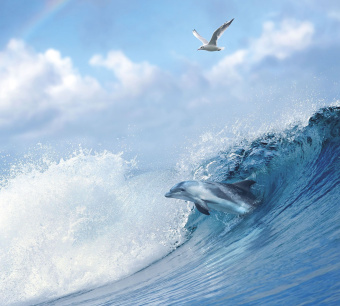 Фрески/Панно ORTOGRAF