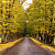 Обои Mr Perswall Photo