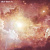 Обои York Risky Business 2