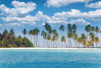 Фрески/Панно ORTOGRAF