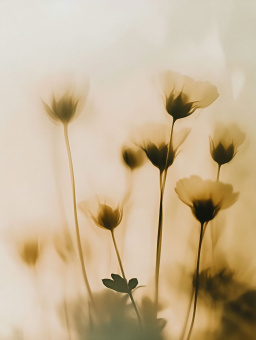 Фрески/Панно Rfresco AI